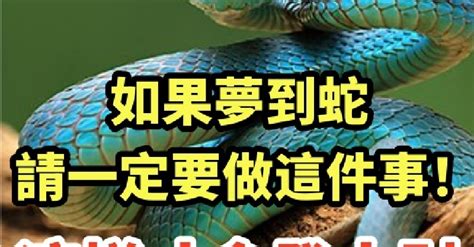 見蛇發財|夢到蛇等於發大財？這可不一定 專家曝另一層含意 